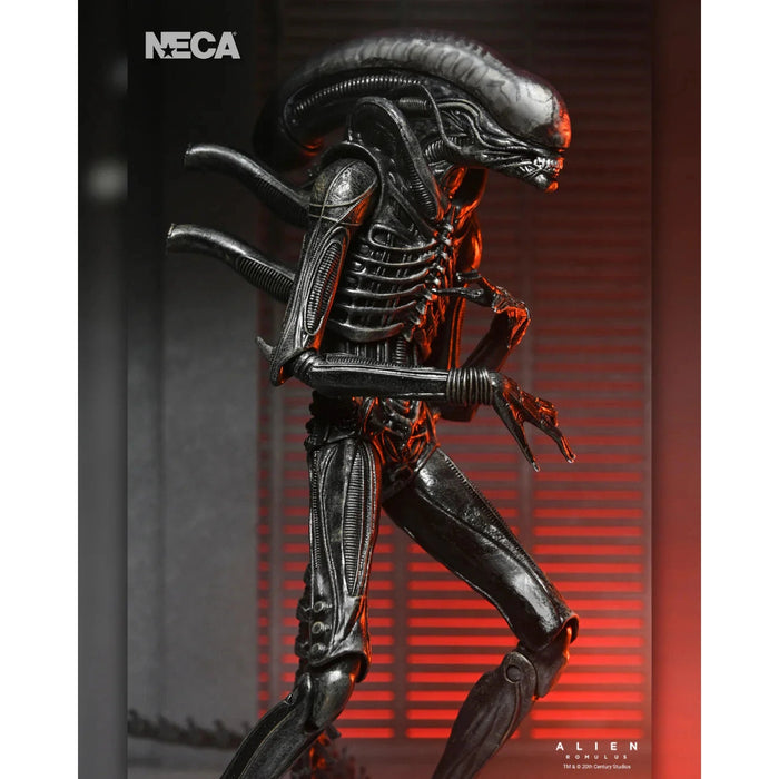 Neca Alien Romulus Ultimate Xenomorph XX121