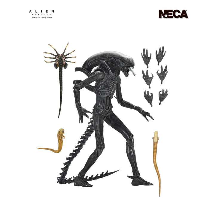 Neca Alien Romulus Ultimate Xenomorph XX121