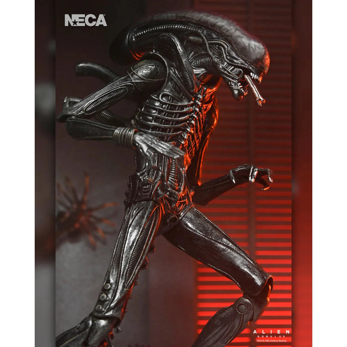 Neca Alien Romulus Ultimate Xenomorph XX121