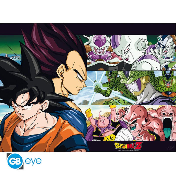 Dragon Ball Z Poster Pack