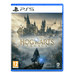 Hogwarts Legacy Standard Ed - PS5