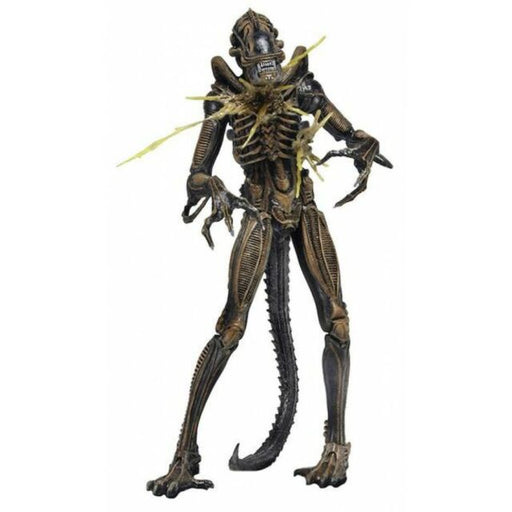 NECA: Aliens Xenomorph Battle Damaged Warrior Action Figure