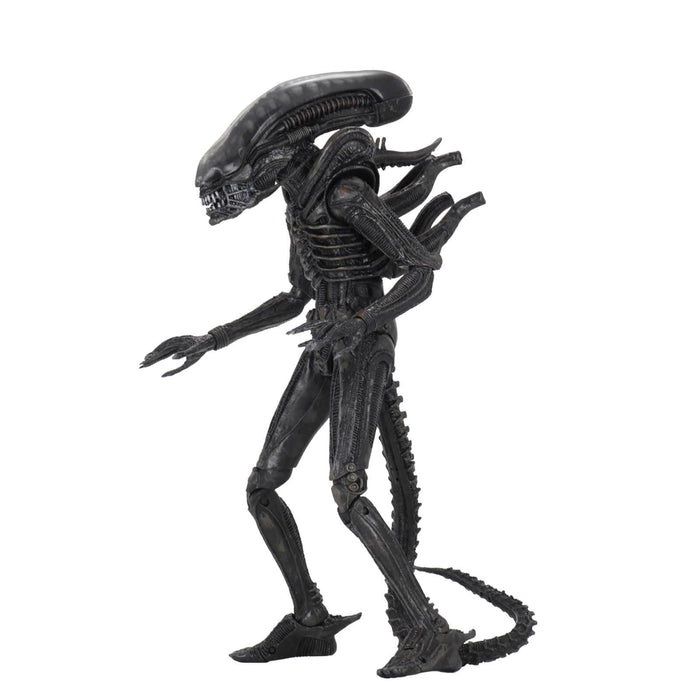 Neca 40th Anniversary Alien Big Chap