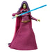 Star Wars: The Clone Wars Vintage Collection Barriss Offee Action Figure